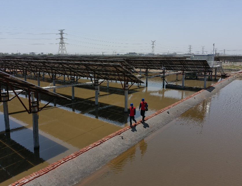 山东省电线电缆行业九州网_九州(中国) 山东省电线电缆行业九州网_九州(中国)