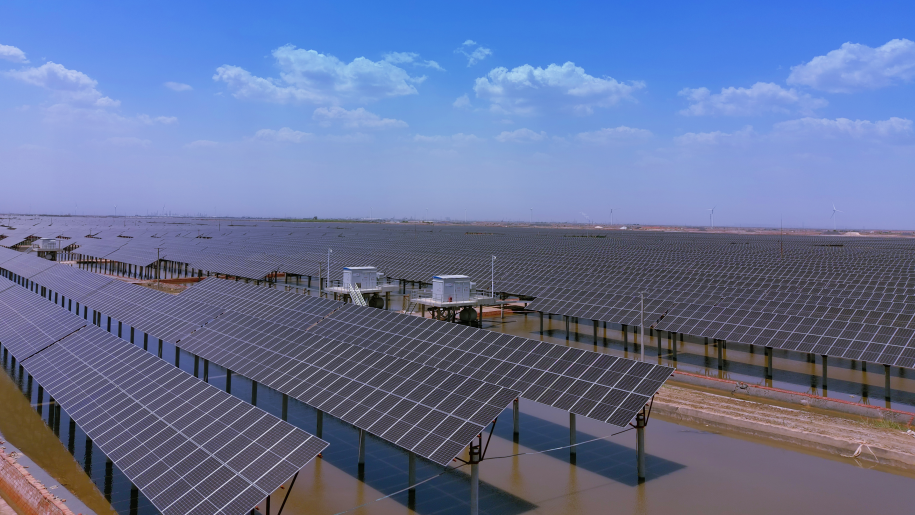 山东省电线电缆行业九州网_九州(中国) 山东省电线电缆行业九州网_九州(中国)